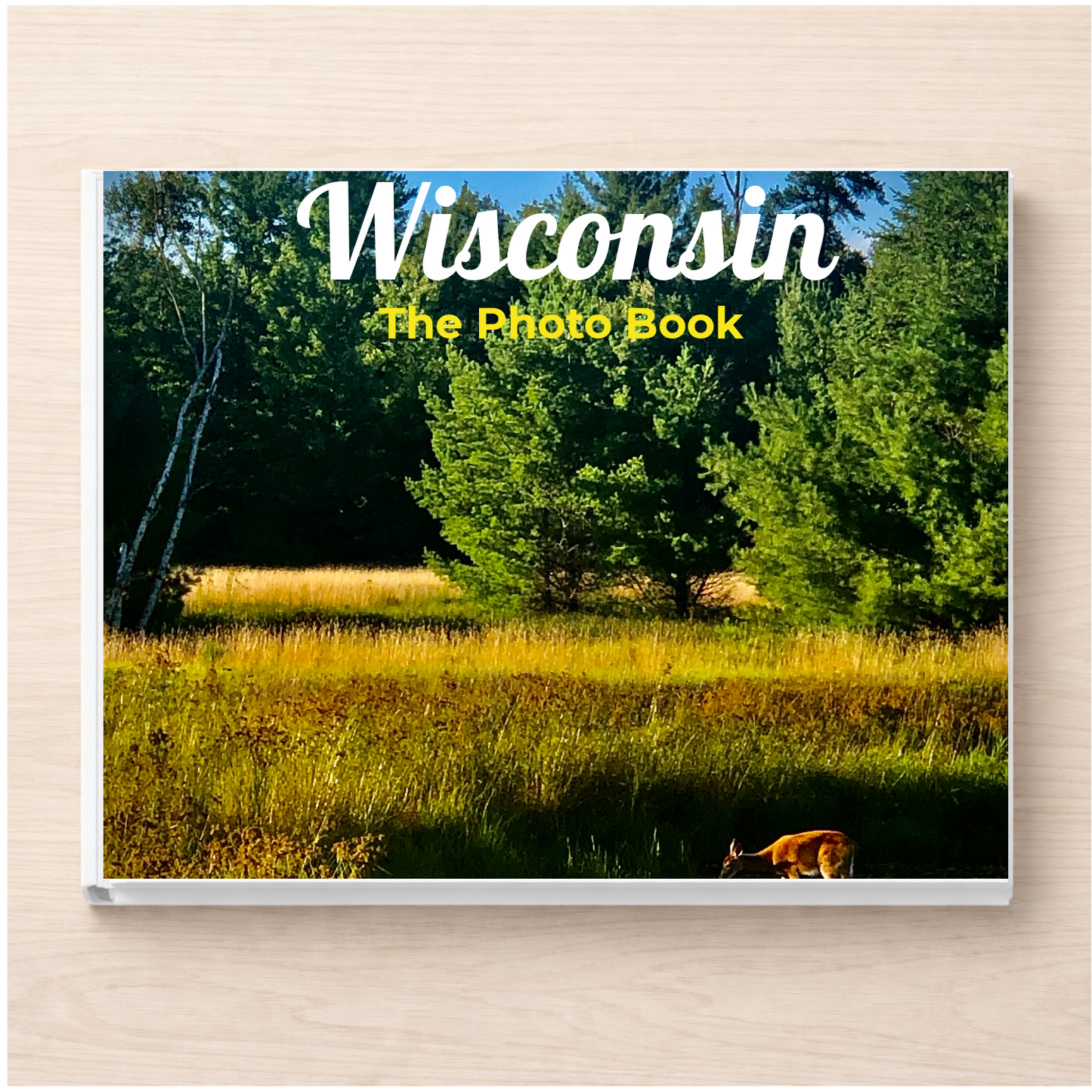 Wisconsin: The Photo Book