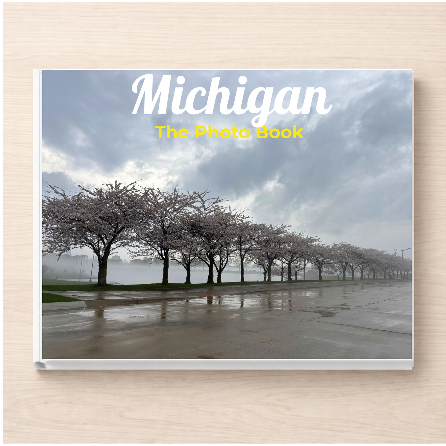Michigan: The Photo Book