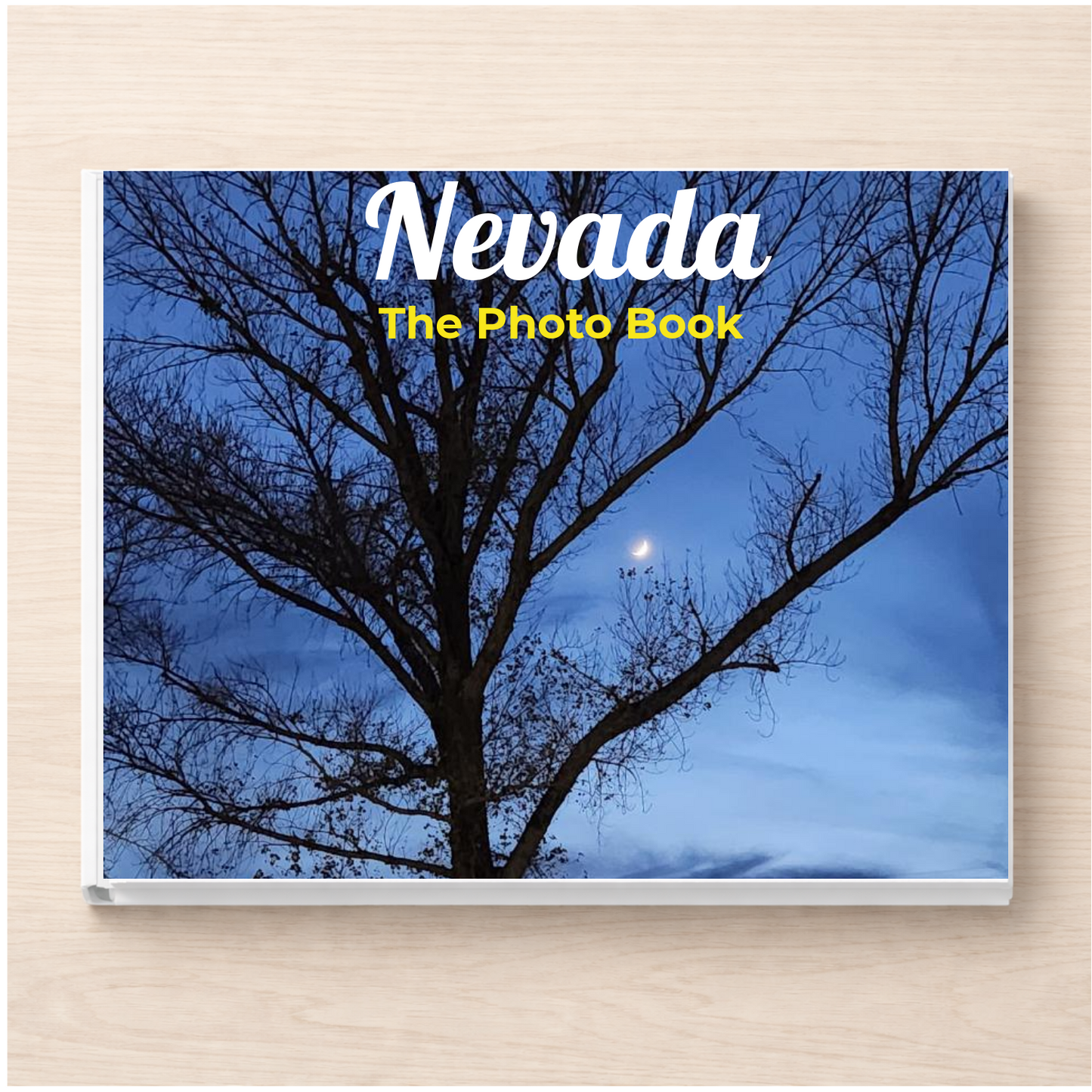 Nevada: The Photo Book
