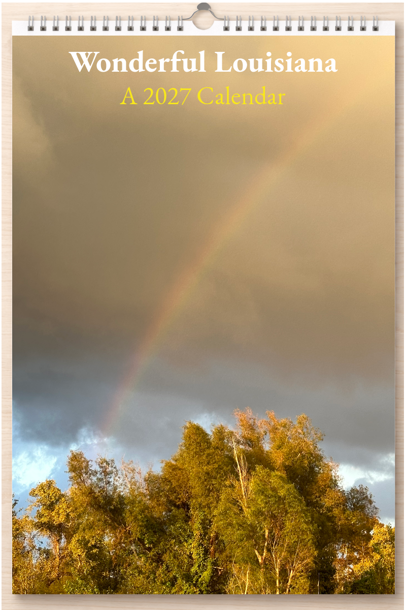 Wonderful Louisiana: A 2027 Calendar