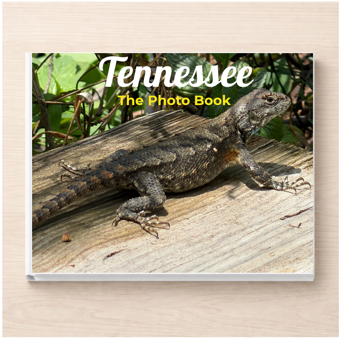 Tennessee: The Photo Book