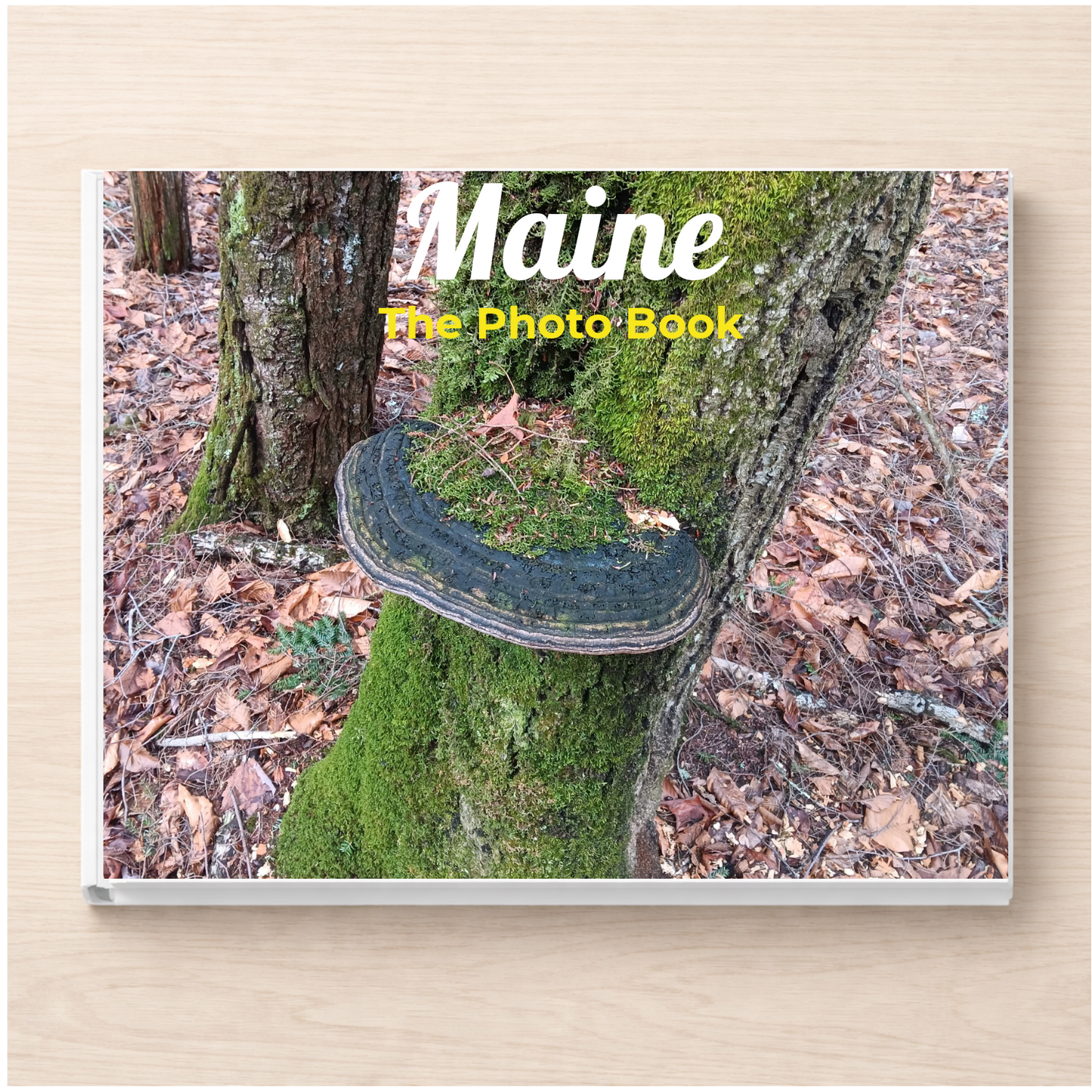 Maine: The Photo Book