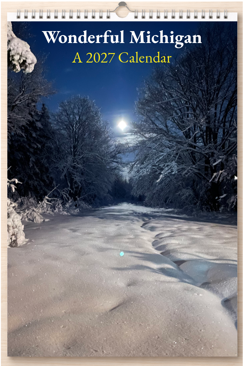 Wonderful Michigan: A 2027 Calendar
