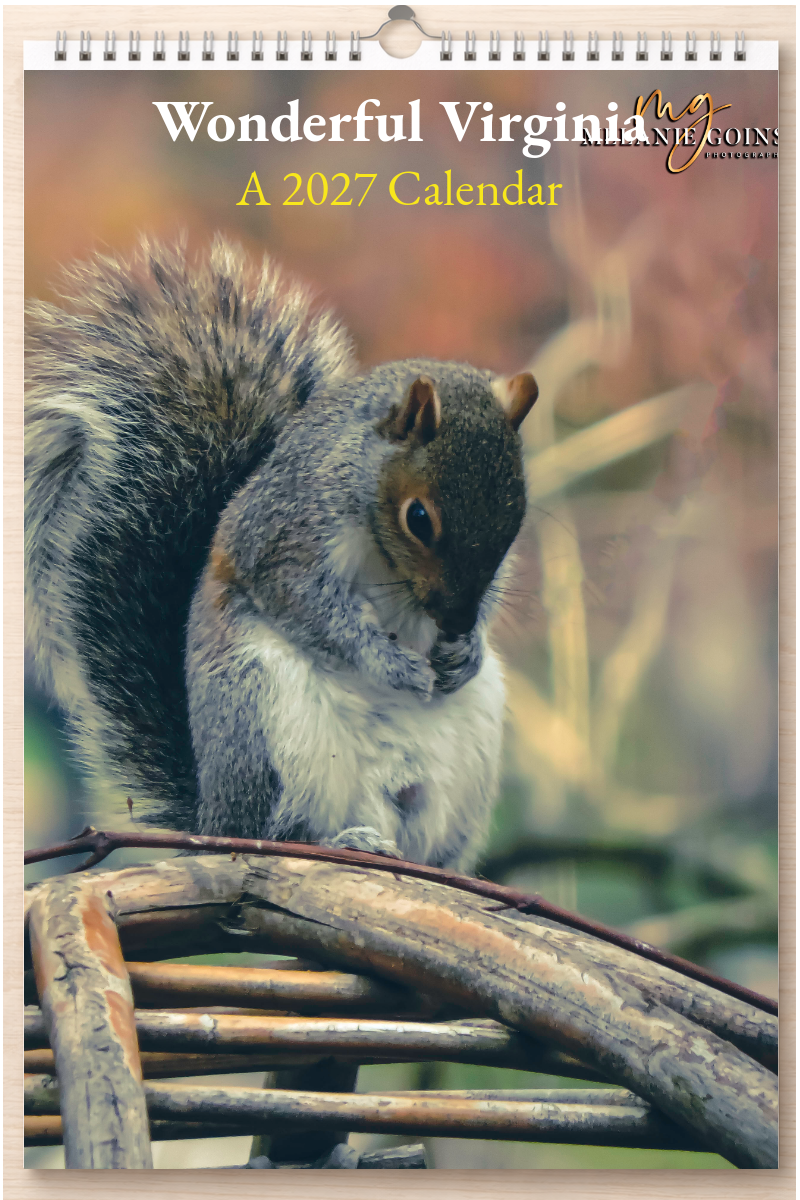 Wonderful Virginia: A 2027 Calendar