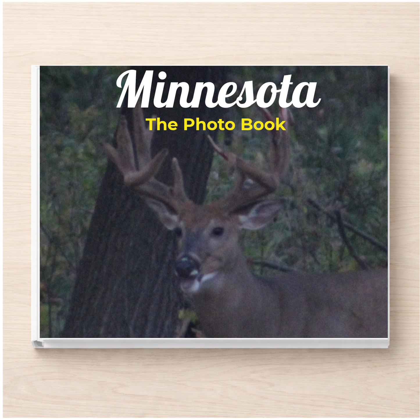 Minnesota: The Photo Book