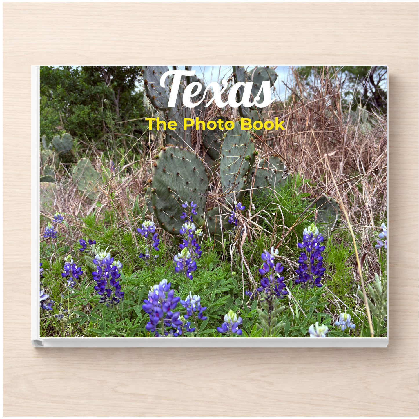 Texas: The Photo Book
