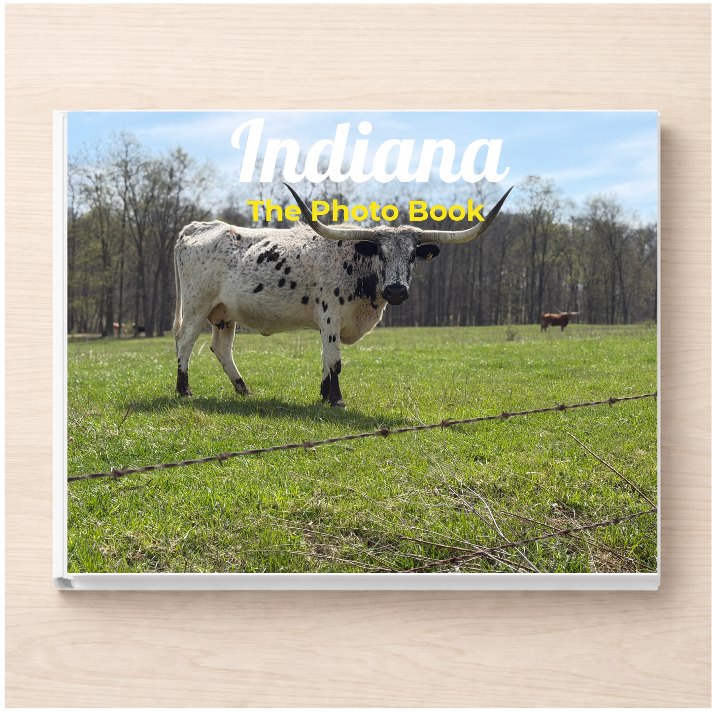 Indiana: The Photo Book