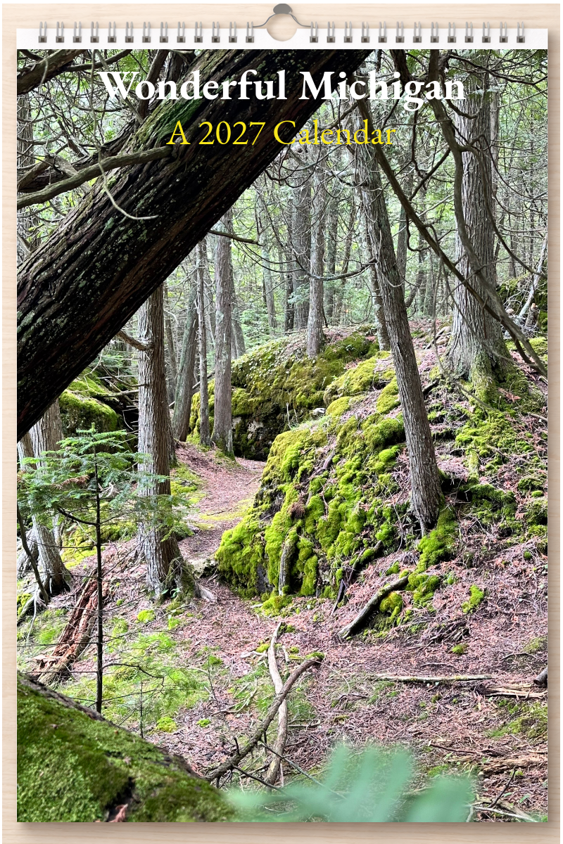 Wonderful Michigan: A 2027 Calendar