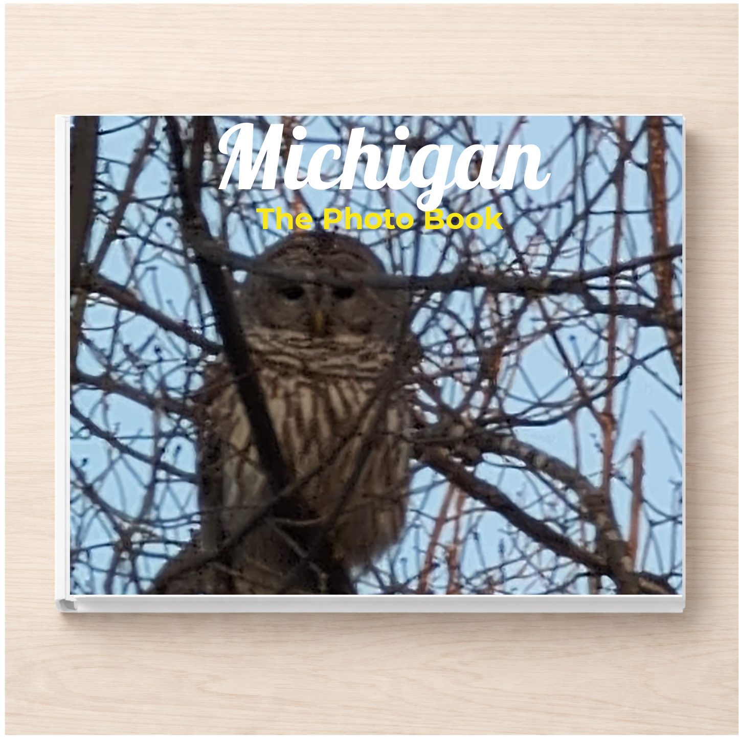 Michigan: The Photo Book