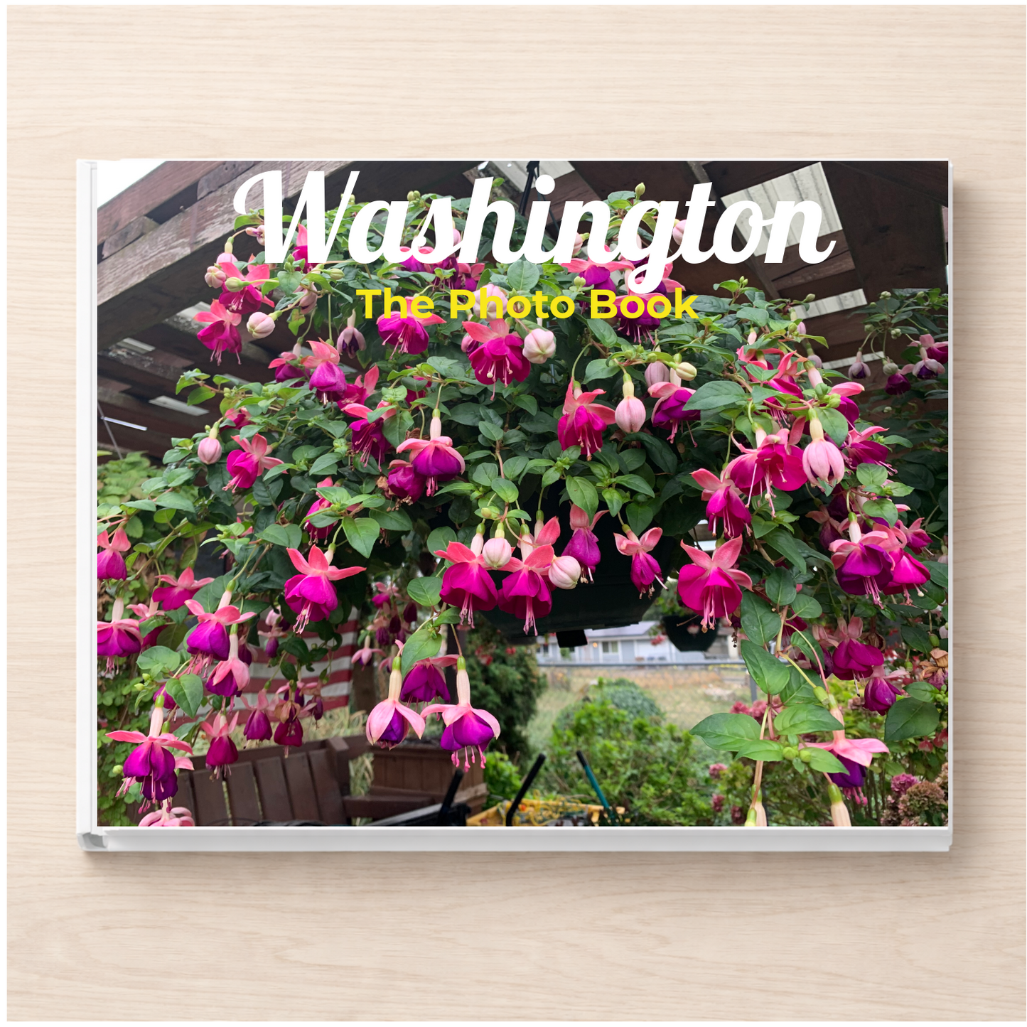 Washington: The Photo Book