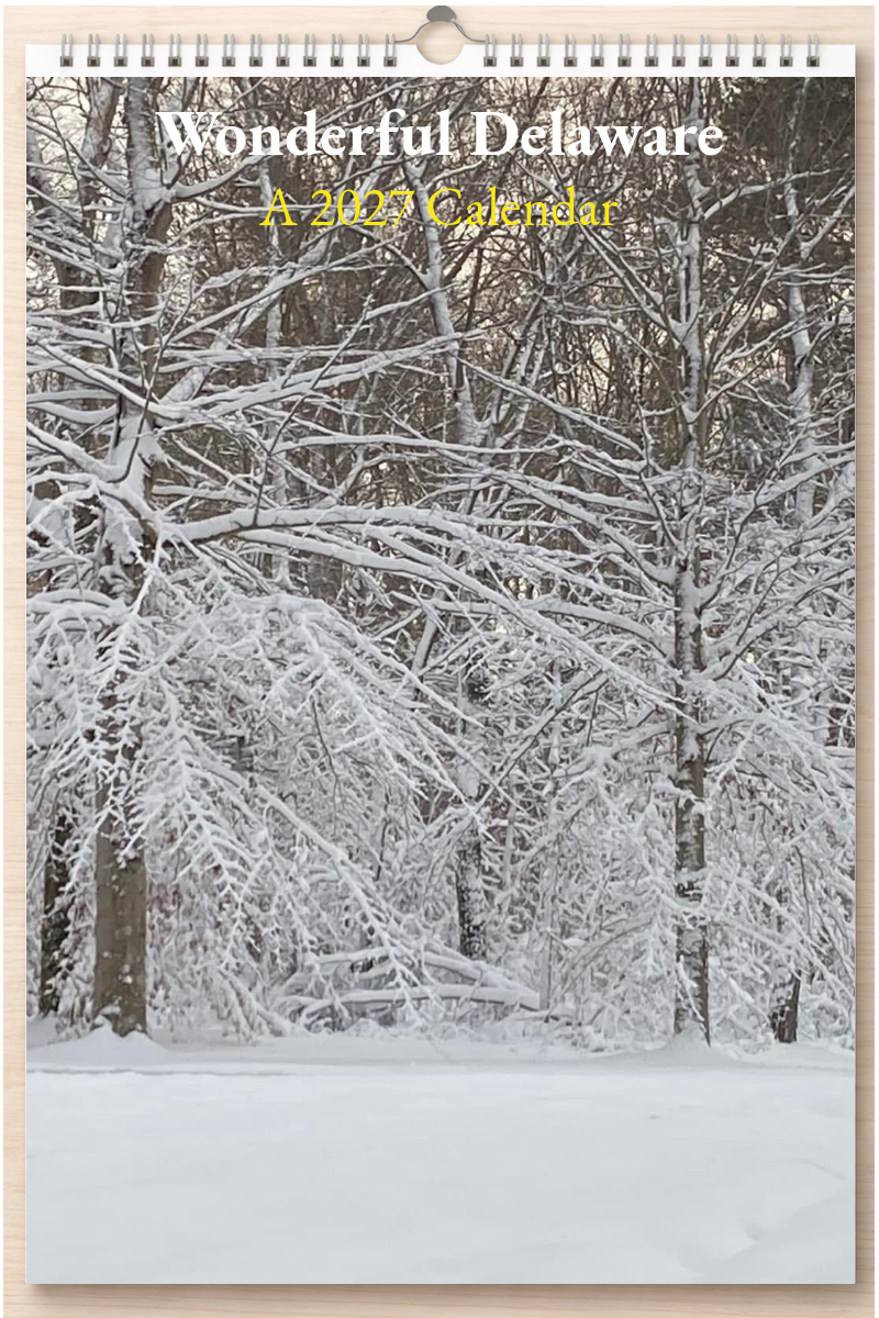 Wonderful Delaware: A 2027 Calendar