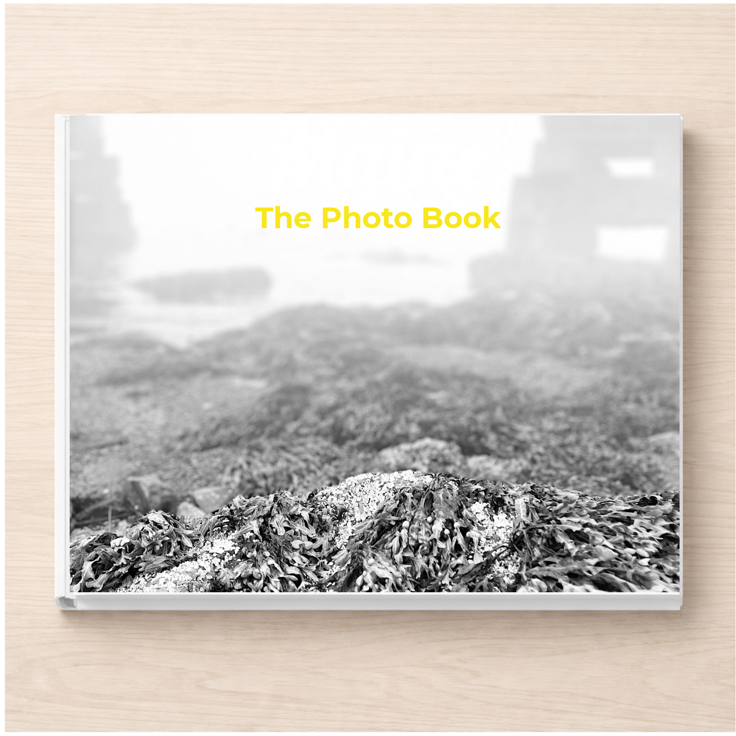 Maine: The Photo Book
