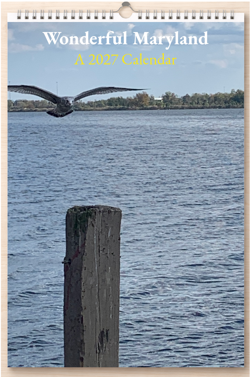 Wonderful Maryland: A 2027 Calendar