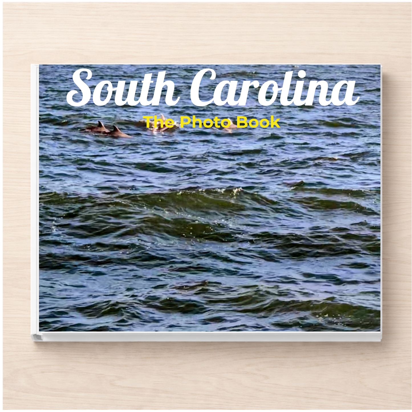 South Carolina: The Photo Book