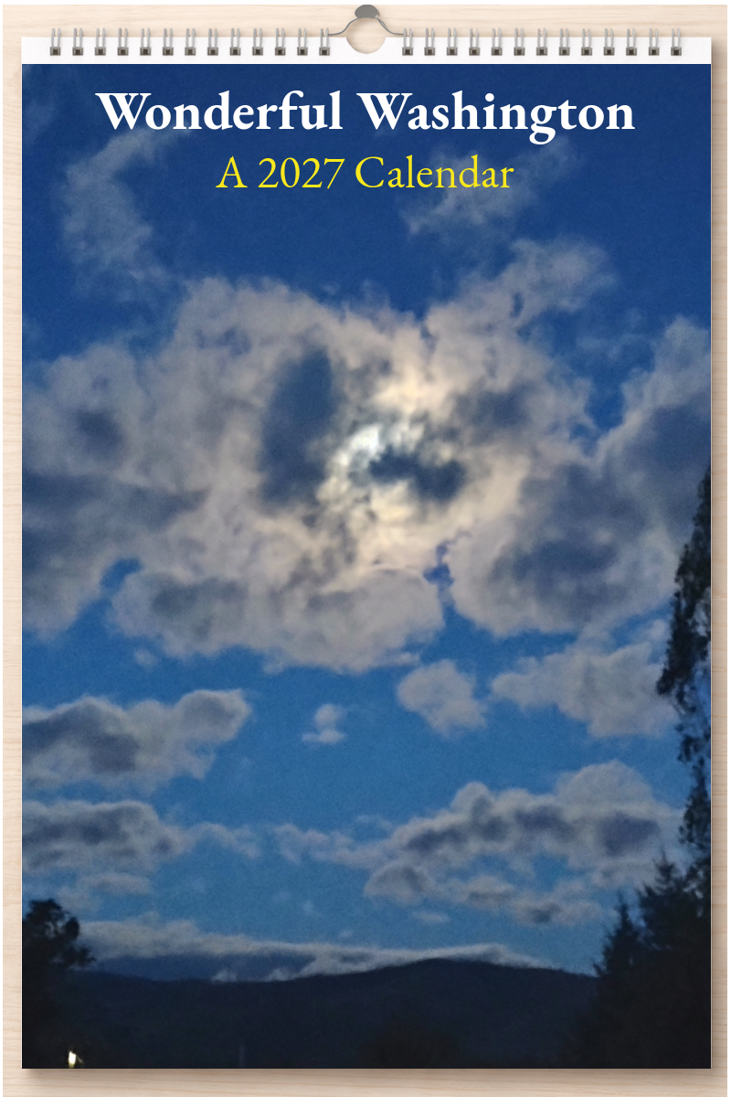 Wonderful Washington: A 2027 Calendar