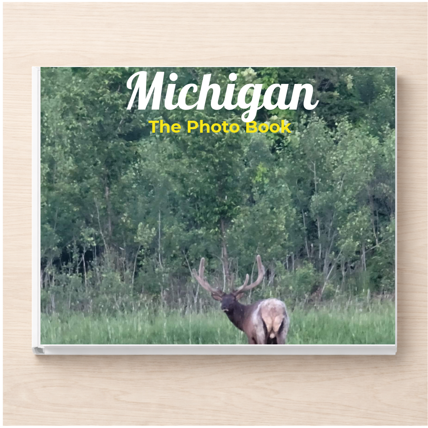 Michigan: The Photo Book