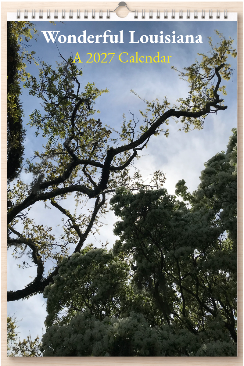 Wonderful Louisiana: A 2027 Calendar