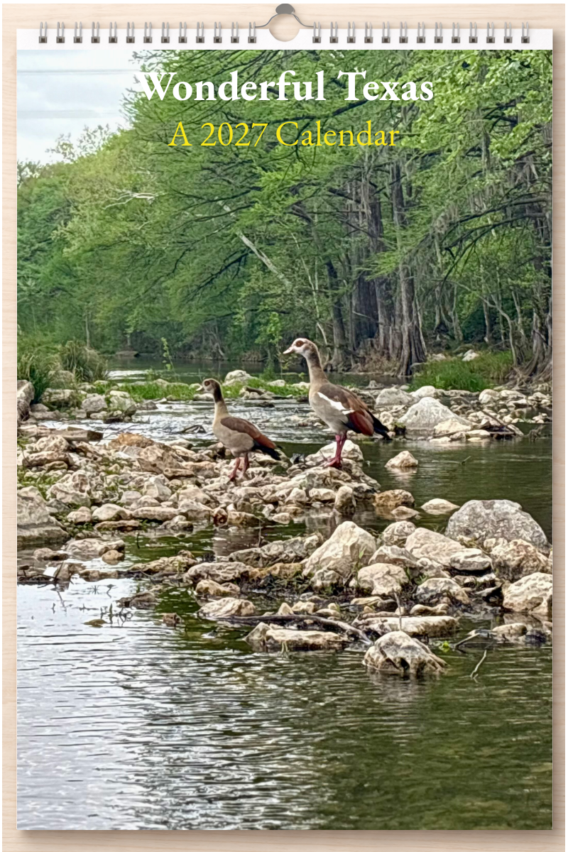 Wonderful Texas: A 2027 Calendar