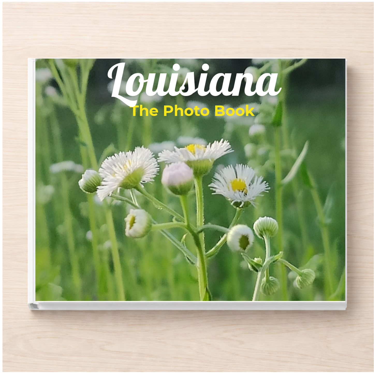 Louisiana: The Photo Book