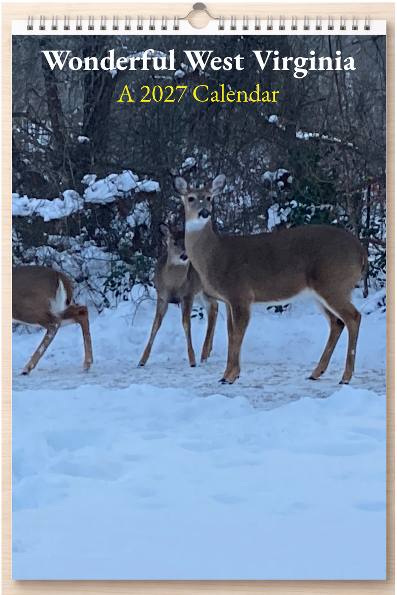 Wonderful West Virginia: A 2027 Calendar