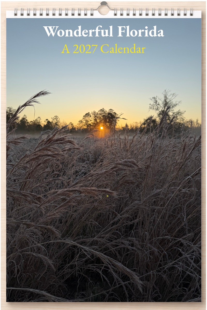 Wonderful Florida: A 2027 Calendar
