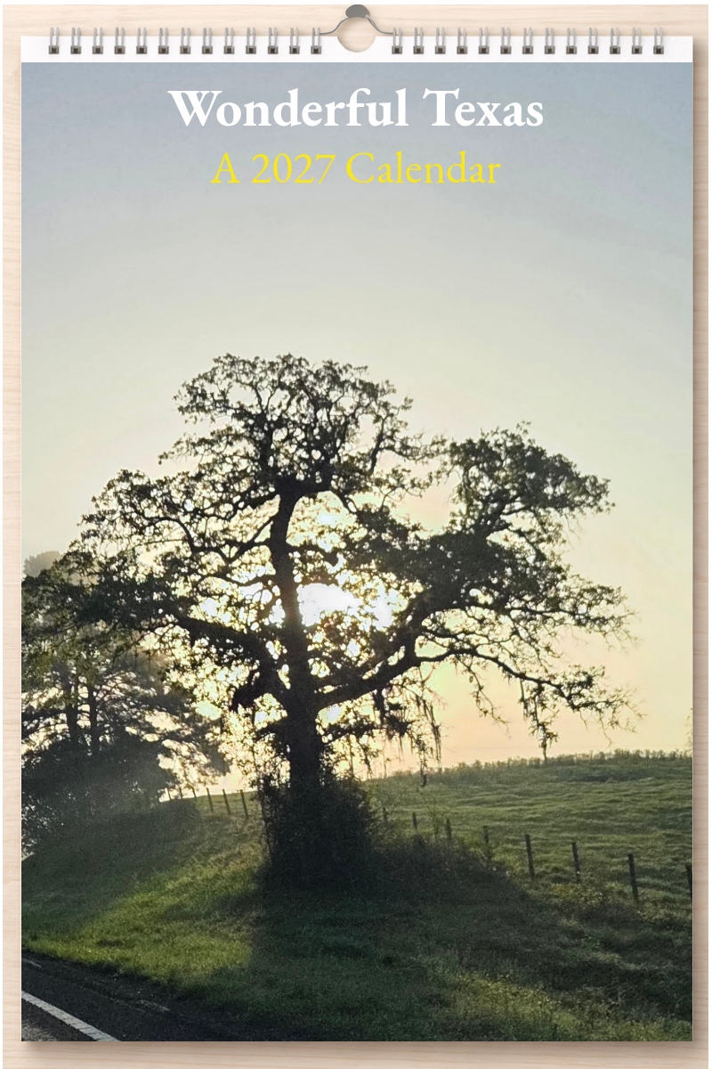 Wonderful Texas: A 2027 Calendar