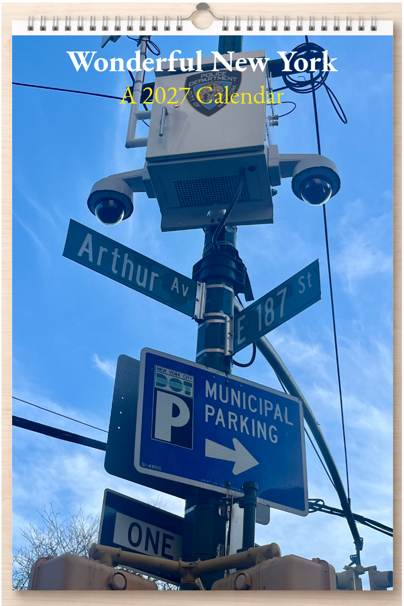 Wonderful New York: A 2027 Calendar