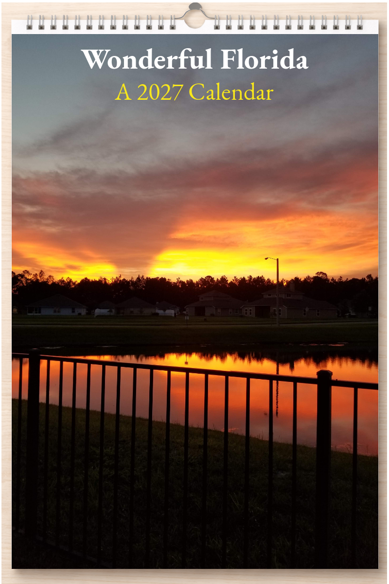 Wonderful Florida: A 2027 Calendar