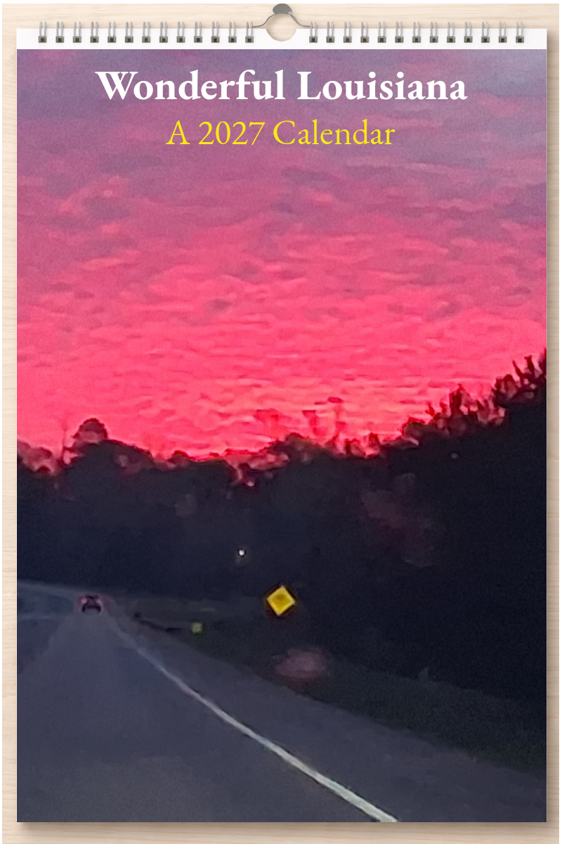 Wonderful Louisiana: A 2027 Calendar