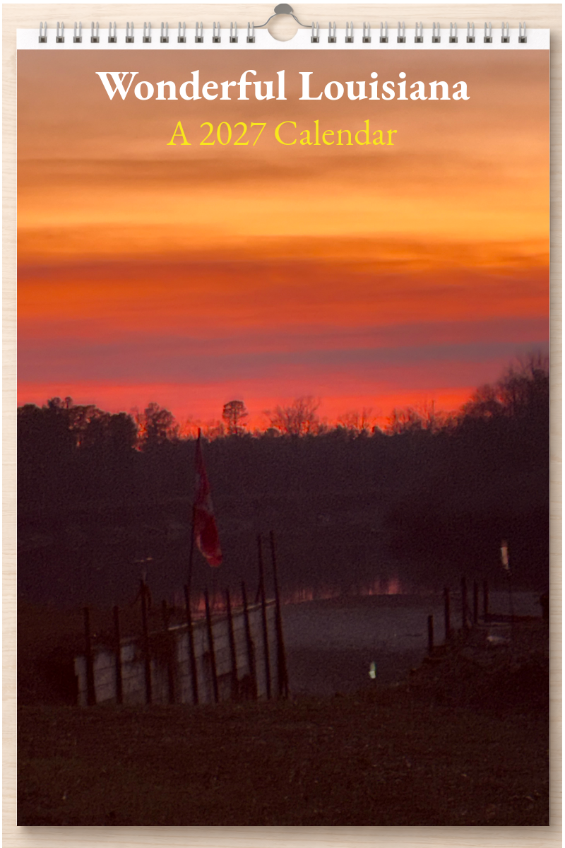 Wonderful Louisiana: A 2027 Calendar