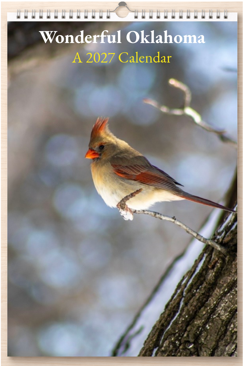 Wonderful Oklahoma: A 2027 Calendar