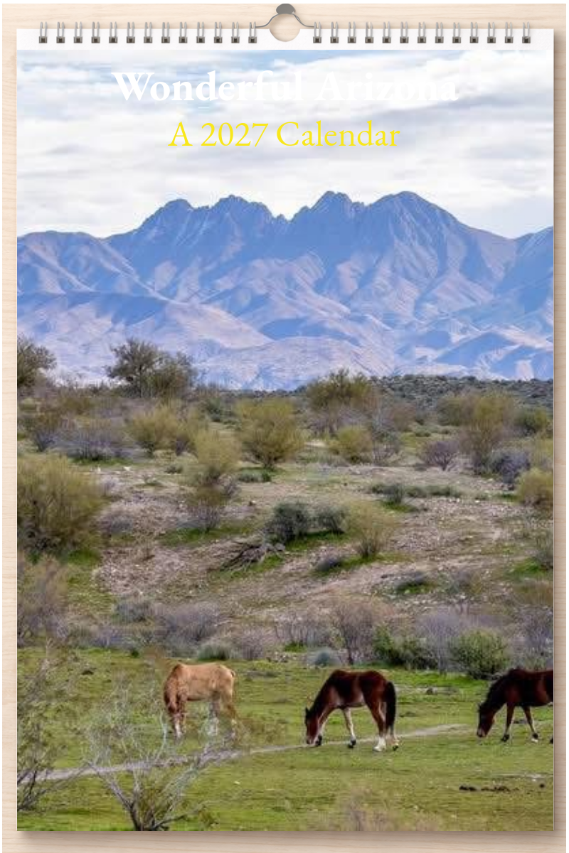 Wonderful Arizona: A 2027 Calendar