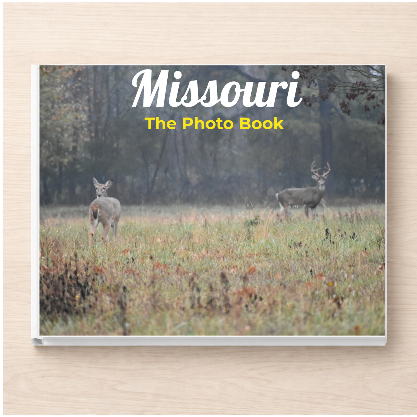 Missouri: The Photo Book