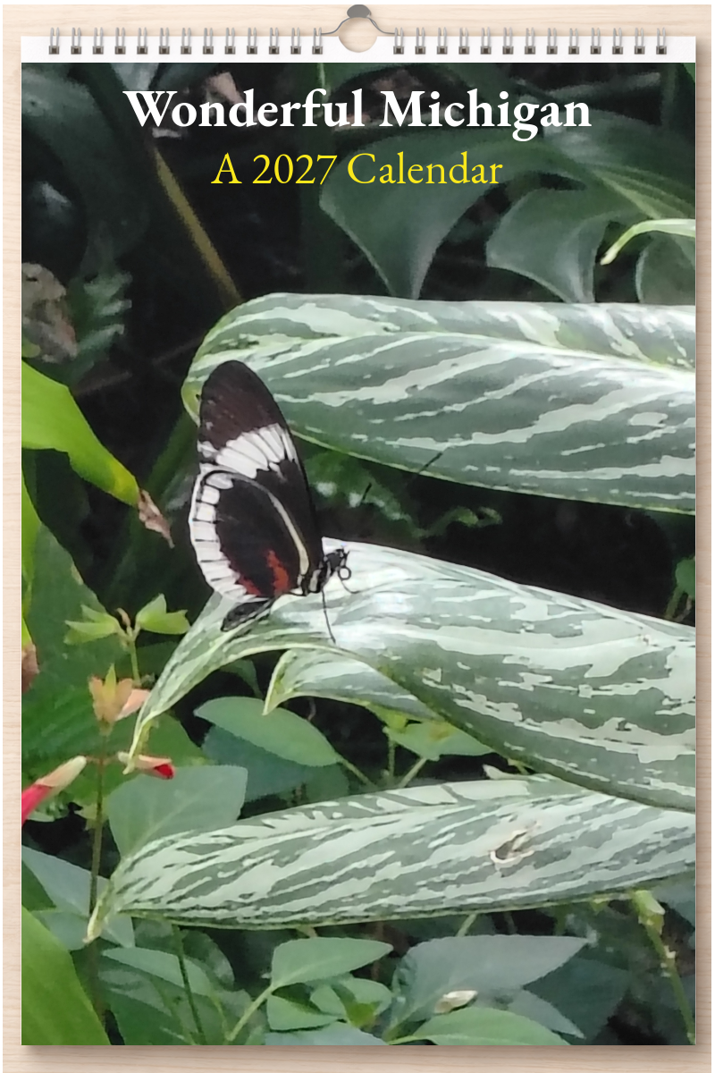 Wonderful Michigan: A 2027 Calendar