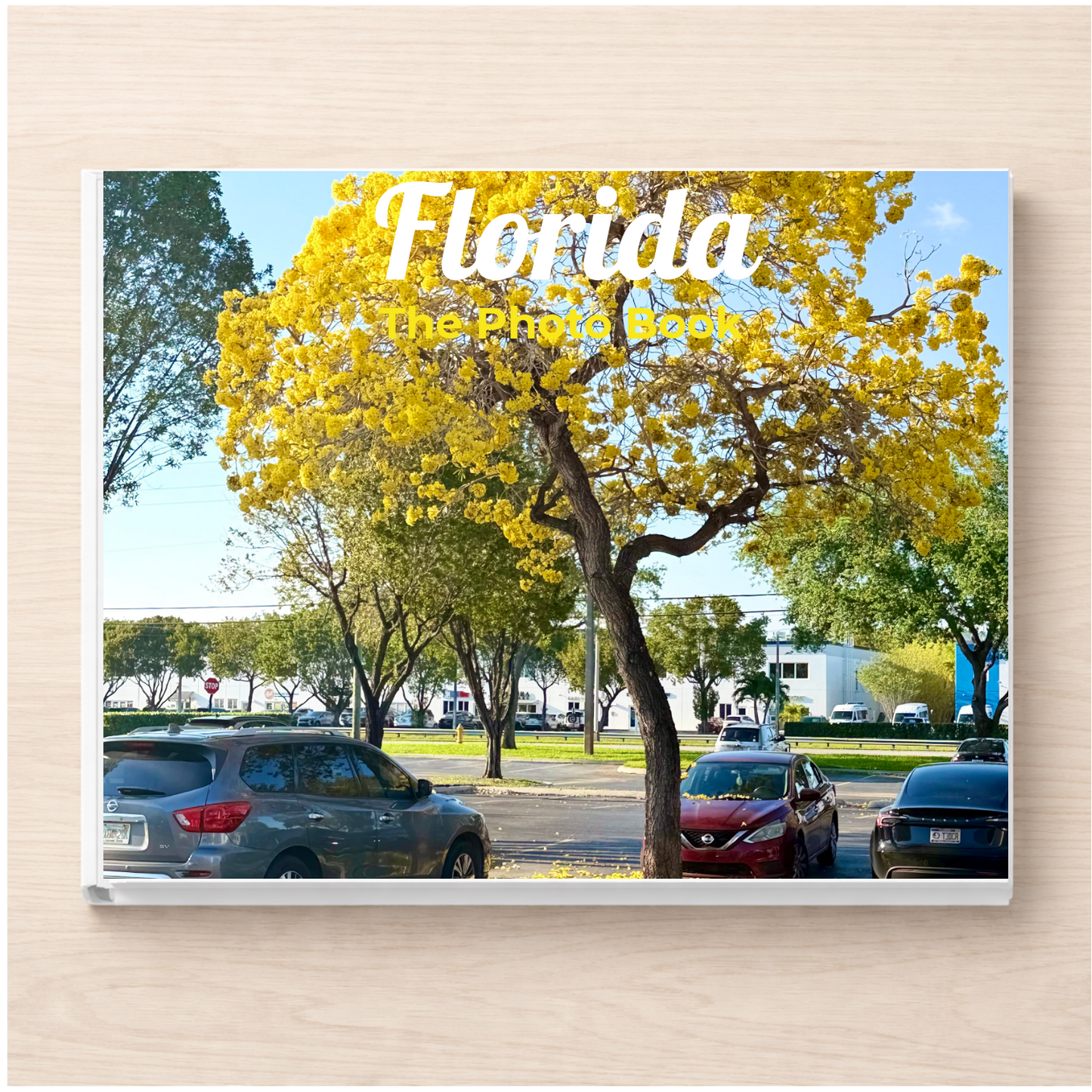 Florida: The Photo Book