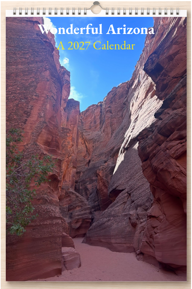 Wonderful Arizona: A 2027 Calendar