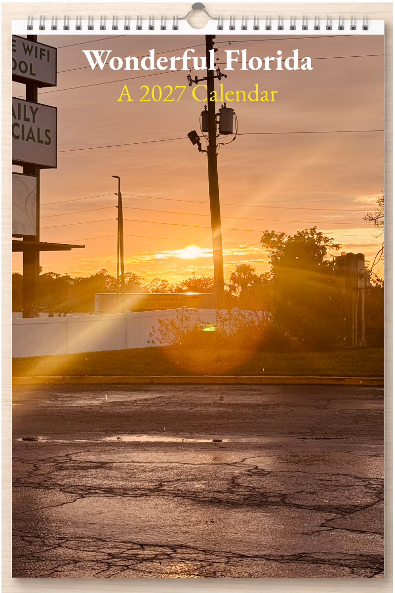 Wonderful Florida: A 2027 Calendar