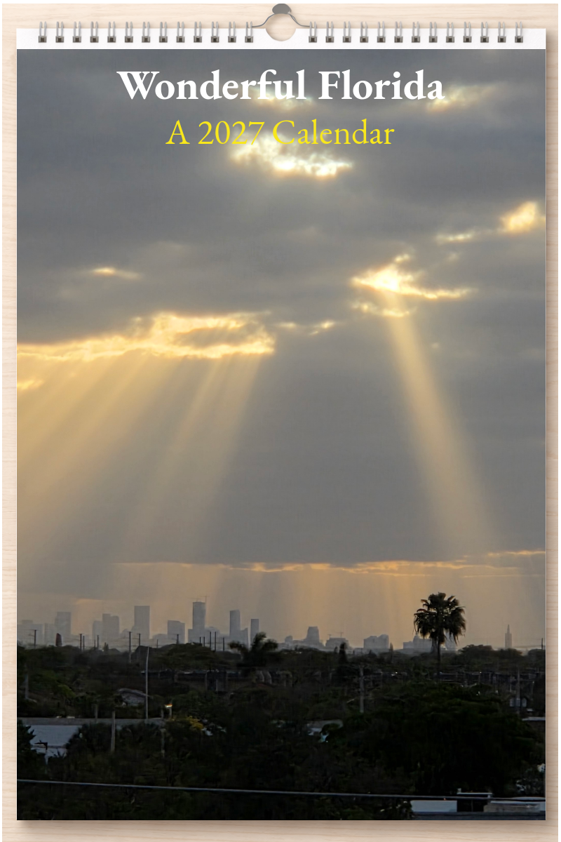 Wonderful Florida: A 2027 Calendar