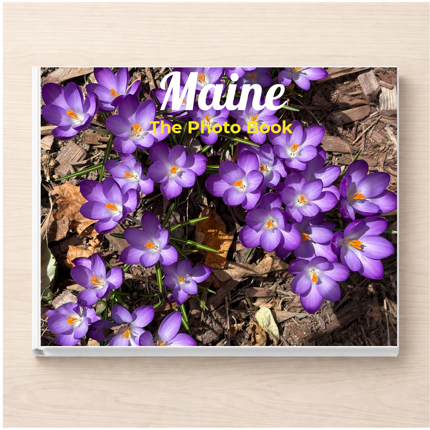 Maine: The Photo Book