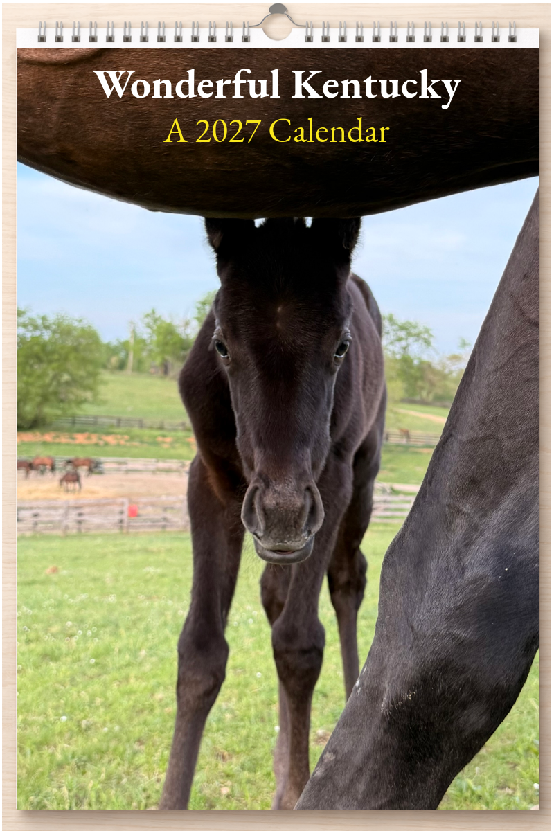 Wonderful Kentucky: A 2027 Calendar