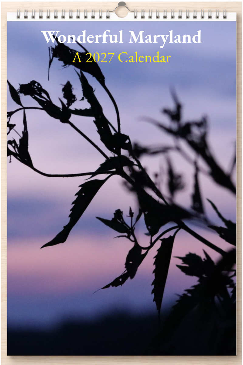 Wonderful Maryland: A 2027 Calendar