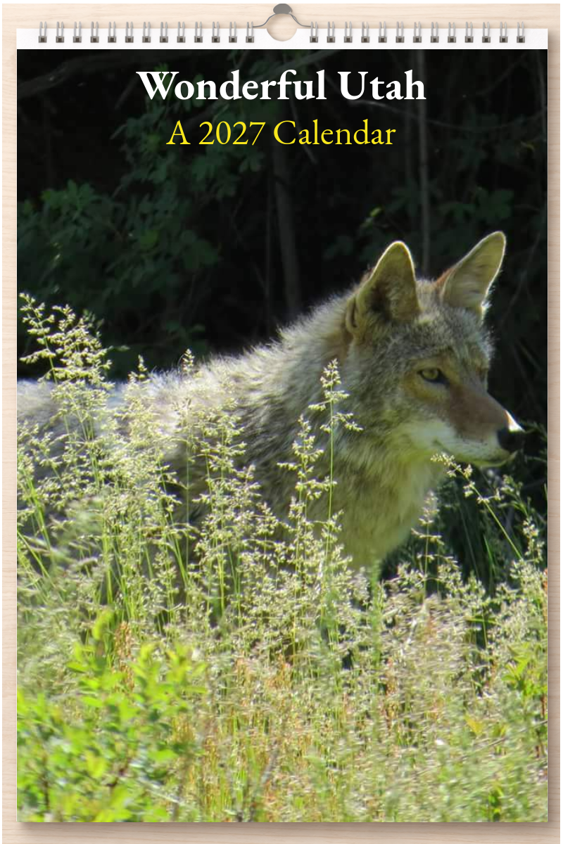 Wonderful Utah: A 2027 Calendar