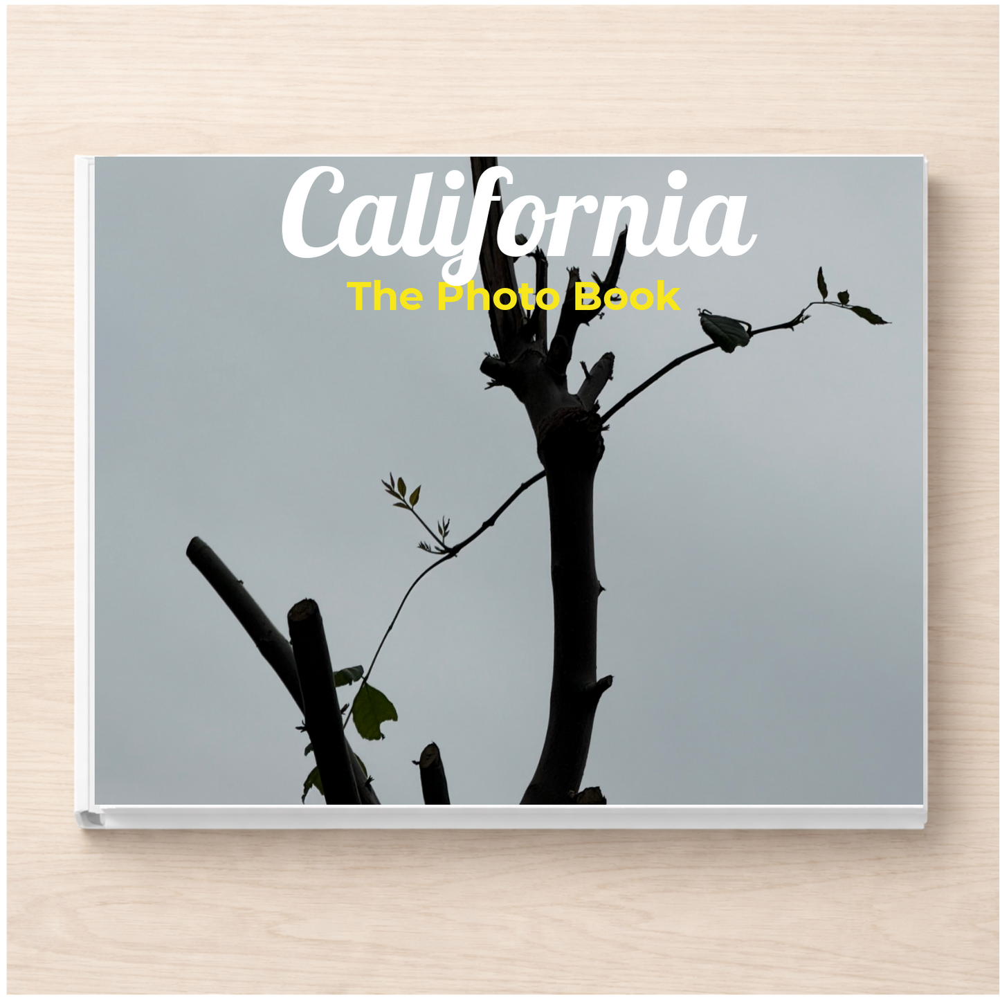 California: The Photo Book