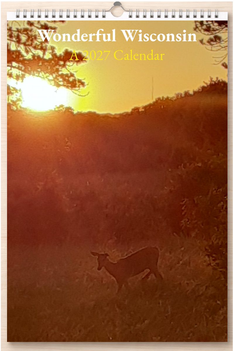 Wonderful Wisconsin: A 2027 Calendar – Silent Spark Press