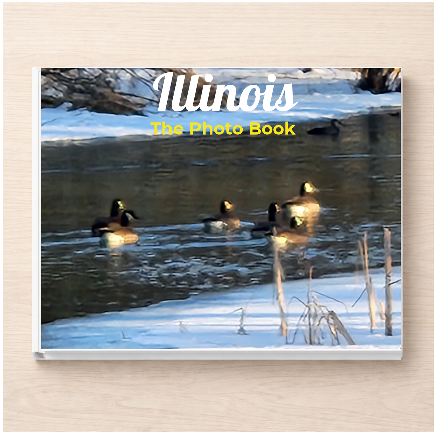 Illinois: The Photo Book