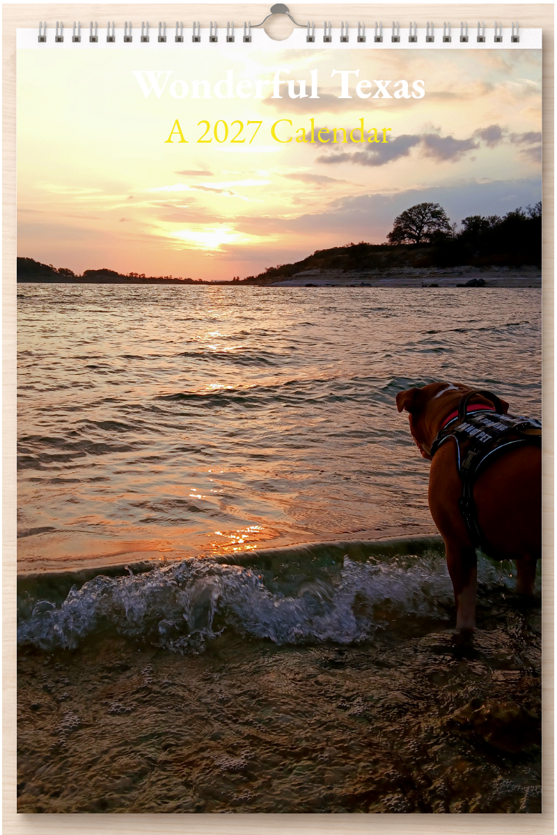 Wonderful Texas: A 2027 Calendar