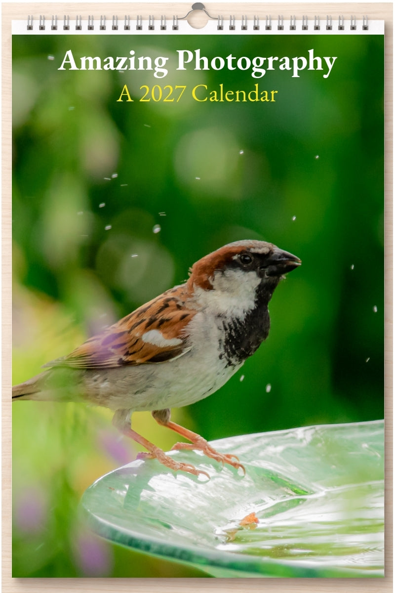 Amazing Photography: A 2027 Calendar