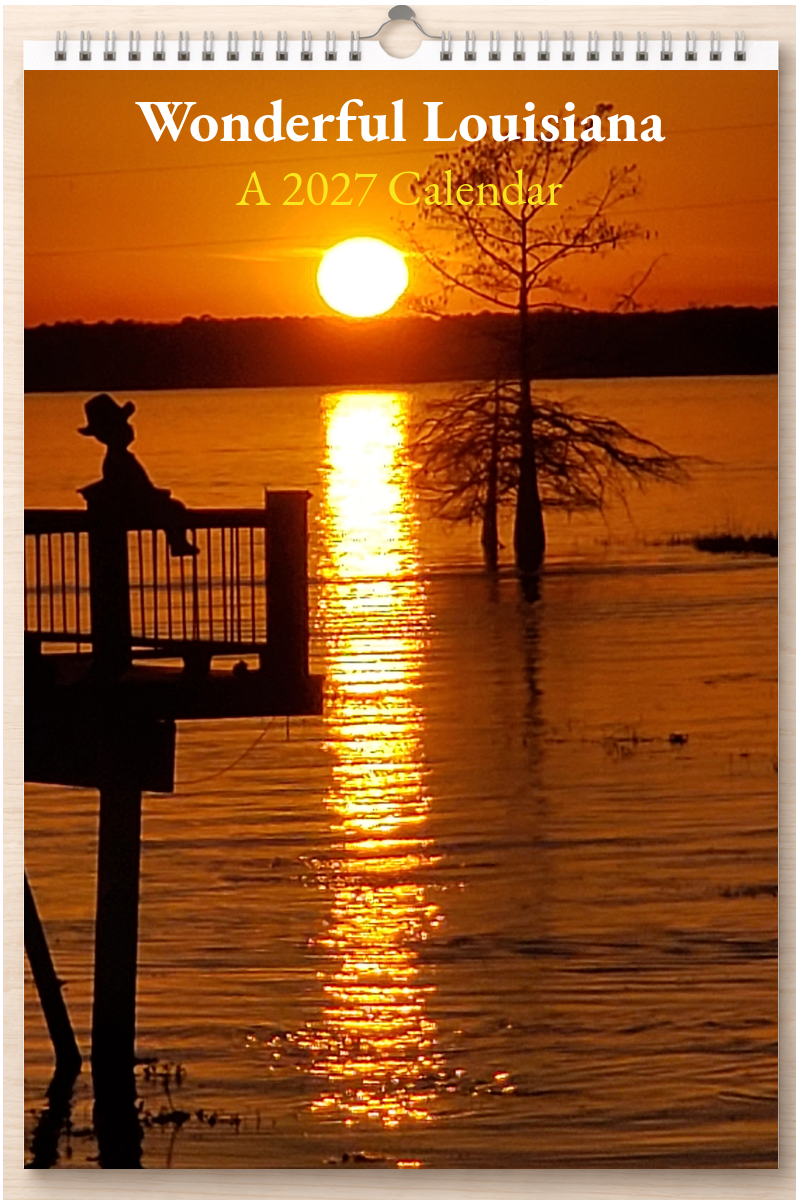 Wonderful Louisiana: A 2027 Calendar