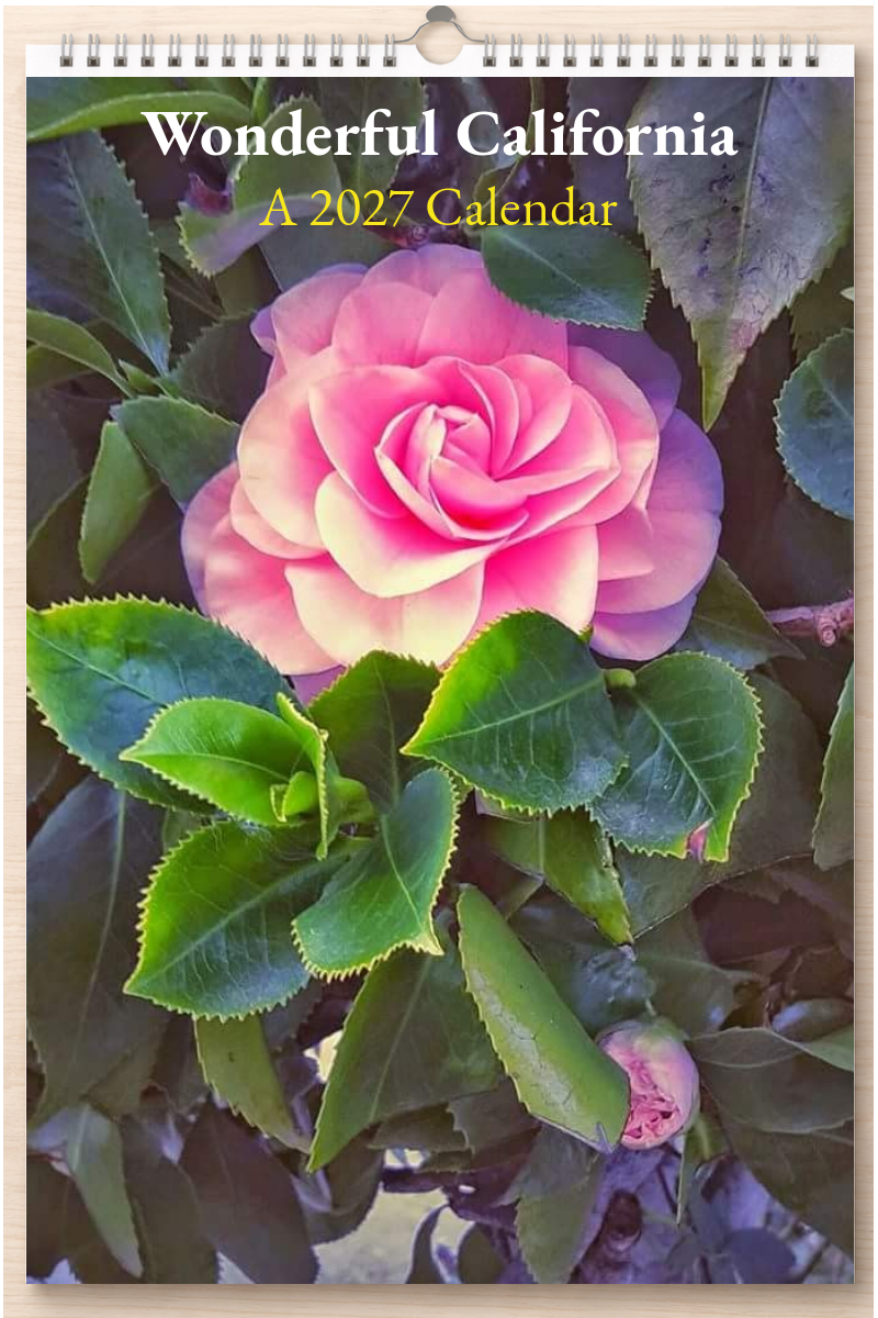 Wonderful California: A 2027 Calendar