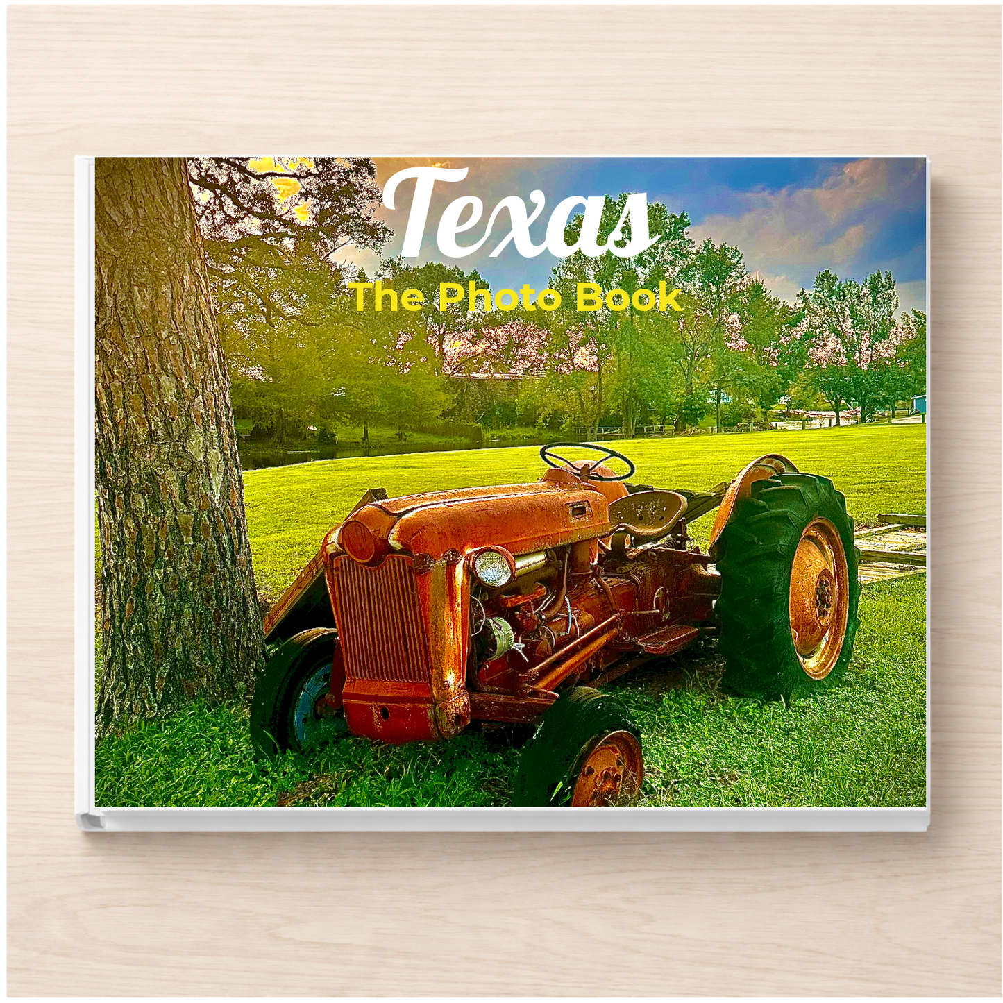Texas: The Photo Book
